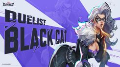 black cat hero.jpg